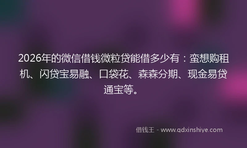2026年的微信借钱微粒贷能借多少有：蛮想购租机、闪贷宝易融、口袋花、森森分期、现金易贷通宝等。