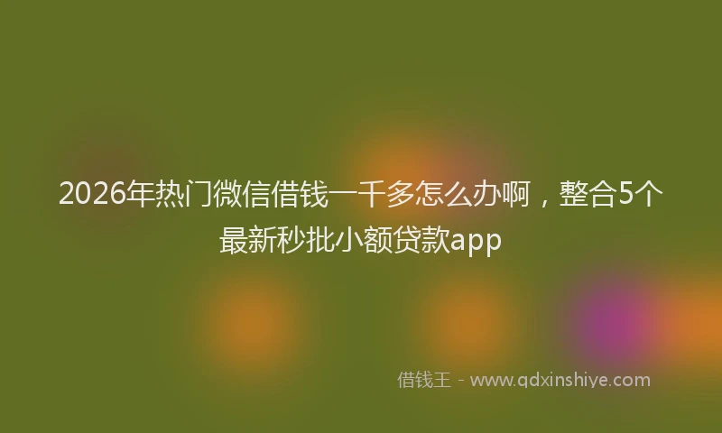 2026年热门微信借钱一千多怎么办啊，整合5个最新秒批小额贷款app