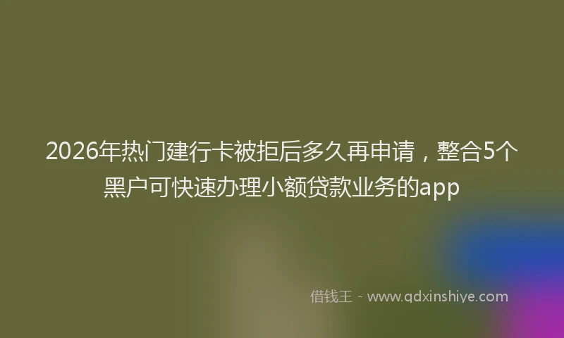 2026年热门建行卡被拒后多久再申请，整合5个黑户可快速办理小额贷款业务的app