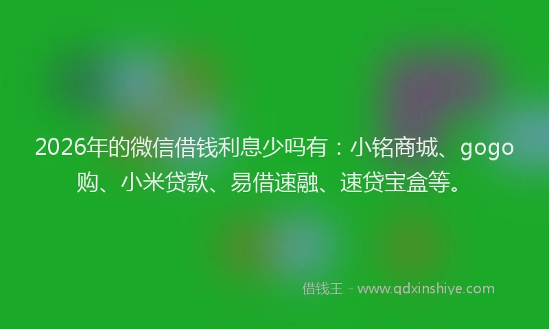 2026年的微信借钱利息少吗有：小铭商城、gogo购、小米贷款、易借速融、速贷宝盒等。