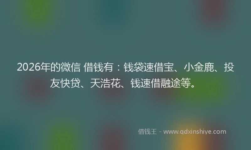 2026年的微信 借钱有:钱袋速借宝、小金鹿、投友快贷、天浩花、钱速借融途等。