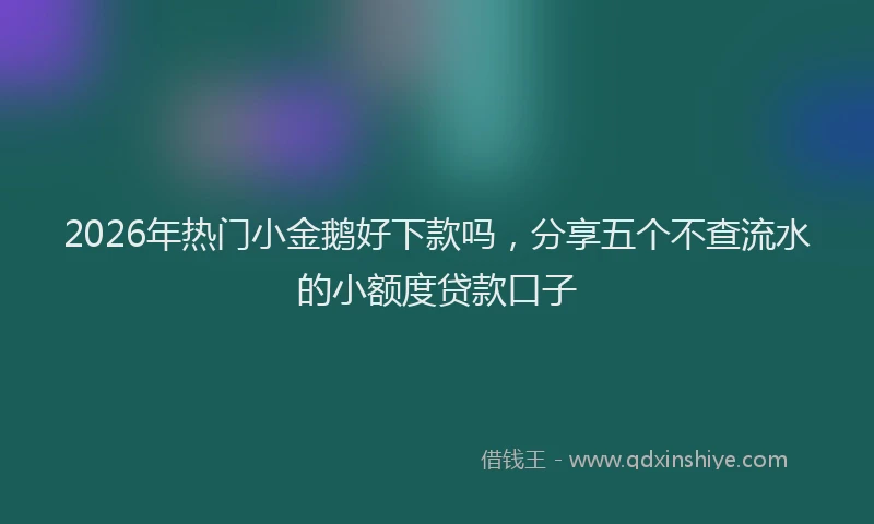 2026年热门小金鹅好下款吗，分享五个不查流水的小额度贷款口子