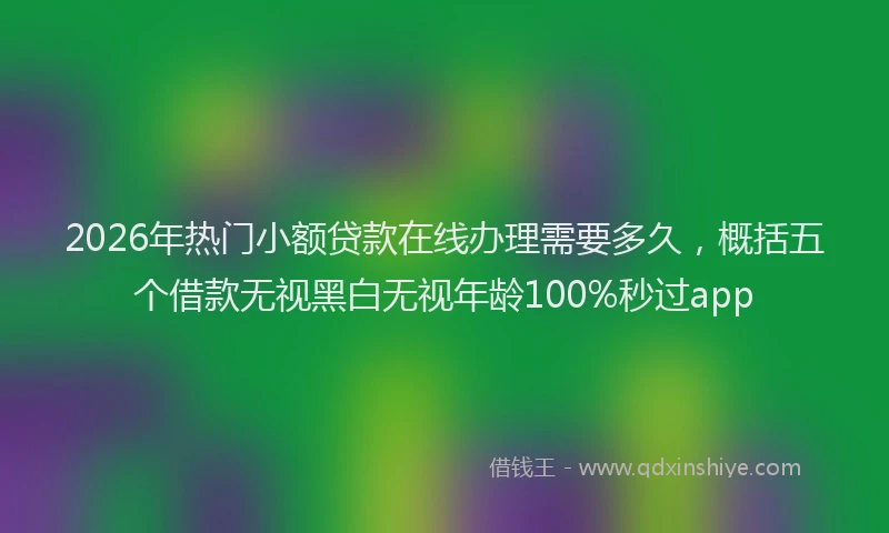 2026年热门小额贷款在线办理需要多久，概括五个借款无视黑白无视年龄100%秒过app