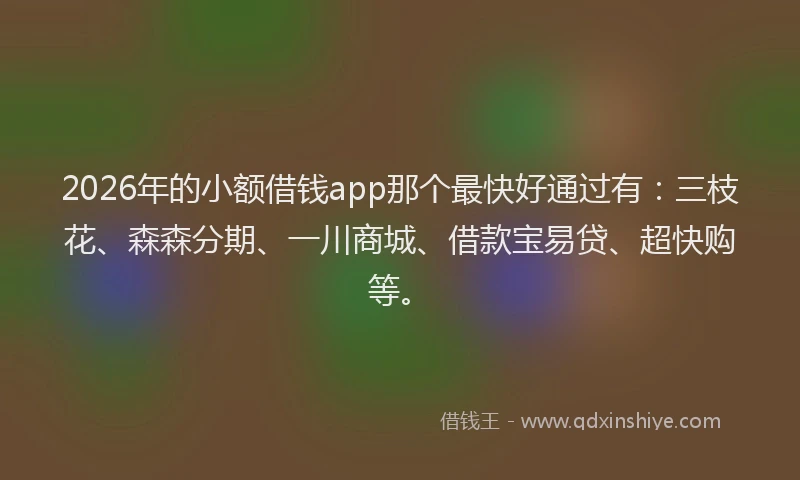 2026年的小额借钱app那个最快好通过有：三枝花、森森分期、一川商城、借款宝易贷、超快购等。