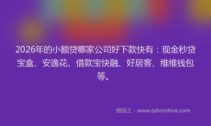 2026年的小额贷哪家公司好下款快有：现金秒贷宝盒、安逸花、借款宝快融、好居客、维维钱包等。