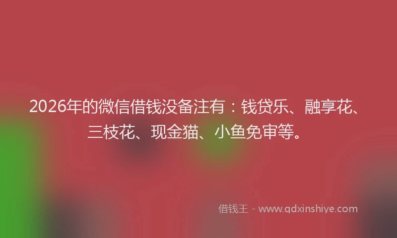 2026年的微信借钱没备注有：钱贷乐、融享花、三枝花、现金猫、小鱼免审等。