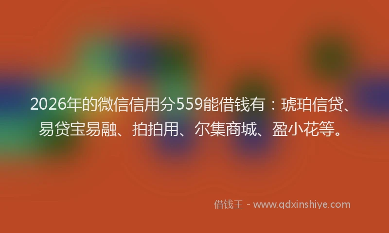 2026年的微信信用分559能借钱有：琥珀信贷、易贷宝易融、拍拍用、尔集商城、盈小花等。