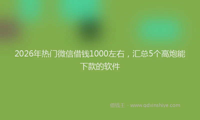 2026年热门微信借钱1000左右,汇总5个高炮能下款的软件