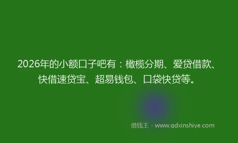 2026年的小额口子吧有：橄榄分期、爱贷借款、快借速贷宝、超易钱包、口袋快贷等。