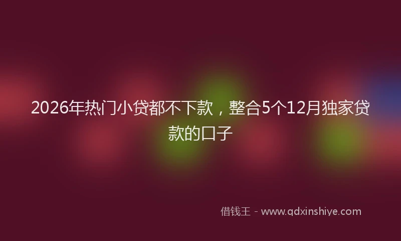 2026年热门小贷都不下款，整合5个12月独家贷款的口子
