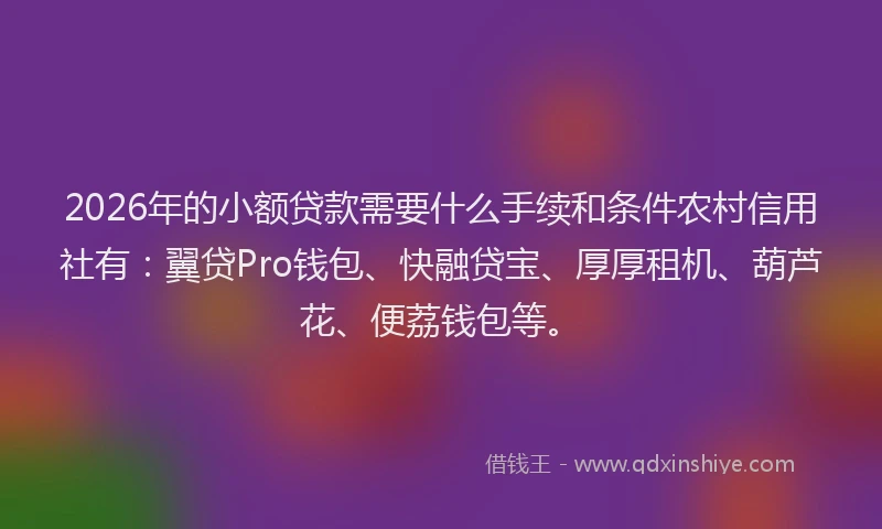 2026年的小额贷款需要什么手续和条件农村信用社有：翼贷Pro钱包、快融贷宝、厚厚租机、葫芦花、便荔钱包等。