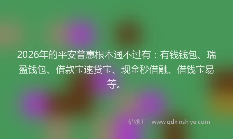 2026年的平安普惠根本通不过有：有钱钱包、瑞盈钱包、借款宝速贷宝、现金秒借融、借钱宝易等。