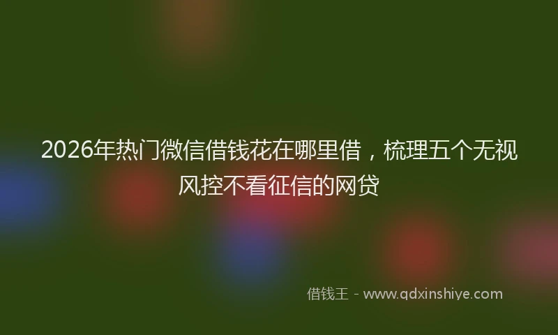 2026年热门微信借钱花在哪里借，梳理五个无视风控不看征信的网贷