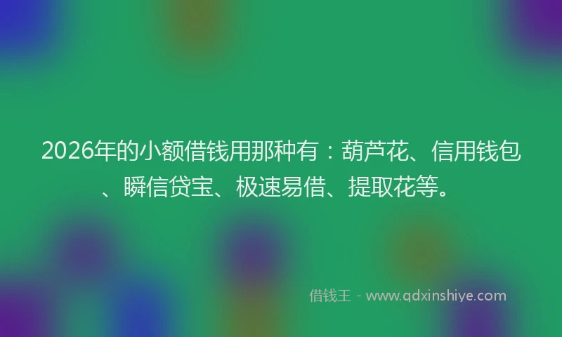 2026年的小额借钱用那种有：葫芦花、信用钱包、瞬信贷宝、极速易借、提取花等。