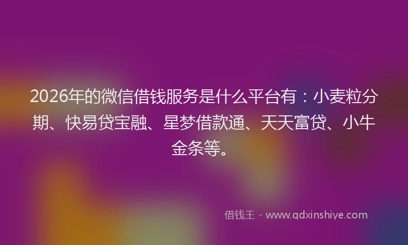 2026年的微信借钱服务是什么平台有:小麦粒分期、快易贷宝融、星梦借款通、天天富贷、小牛金条等。