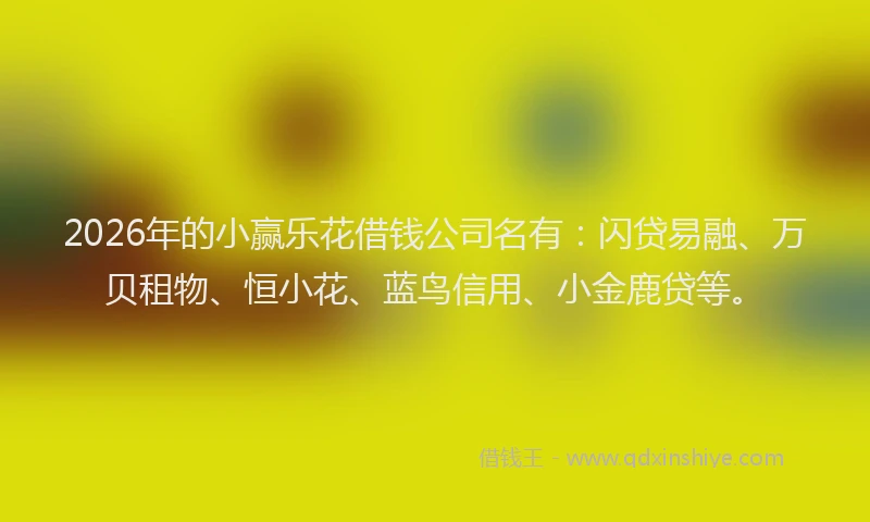 2026年的小赢乐花借钱公司名有：闪贷易融、万贝租物、恒小花、蓝鸟信用、小金鹿贷等。