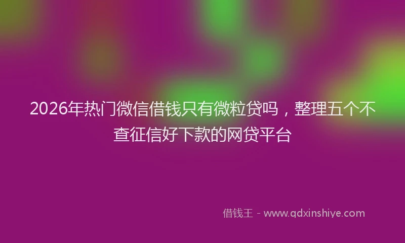 2026年热门微信借钱只有微粒贷吗，整理五个不查征信好下款的网贷平台