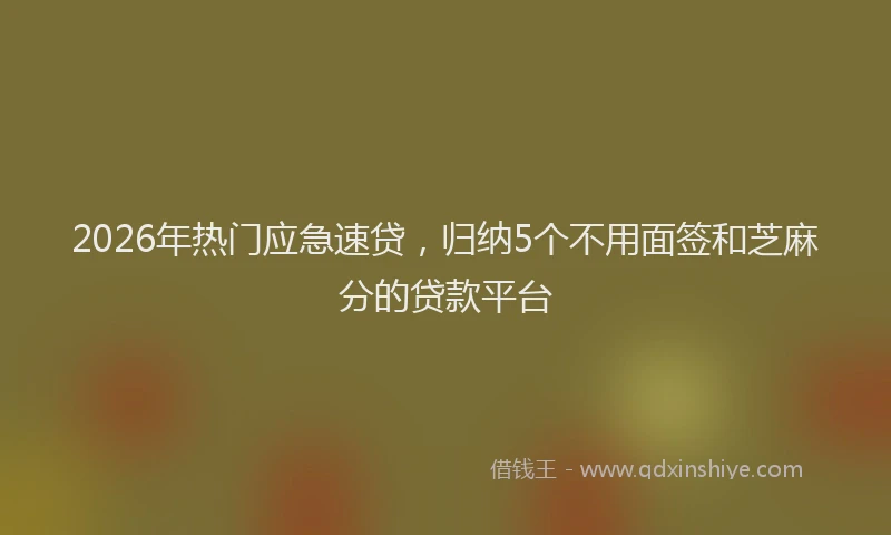 2026年热门应急速贷，归纳5个不用面签和芝麻分的贷款平台