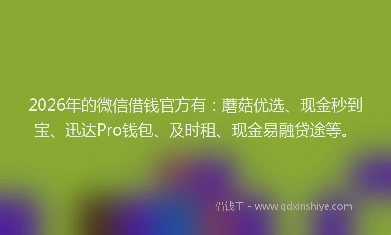 2026年的微信借钱官方有：蘑菇优选、现金秒到宝、迅达Pro钱包、及时租、现金易融贷途等。