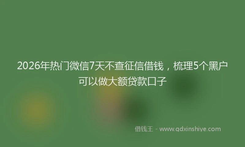 2026年热门微信7天不查征信借钱，梳理5个黑户可以做大额贷款口子