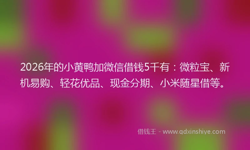 2026年的小黄鸭加微信借钱5千有：微粒宝、新机易购、轻花优品、现金分期、小米随星借等。