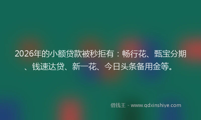 2026年的小额贷款被秒拒有：畅行花、甄宝分期、钱速达贷、新一花、今日头条备用金等。