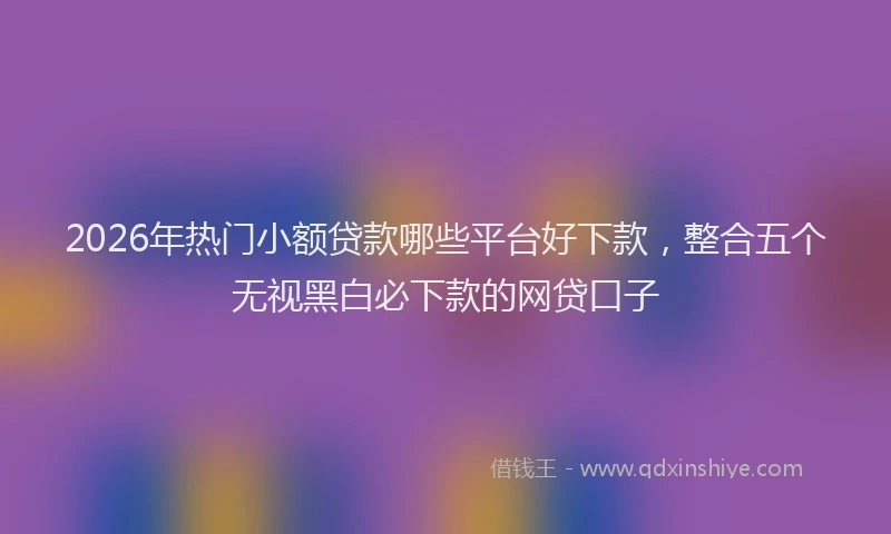 2026年热门小额贷款哪些平台好下款，整合五个无视黑白必下款的网贷口子