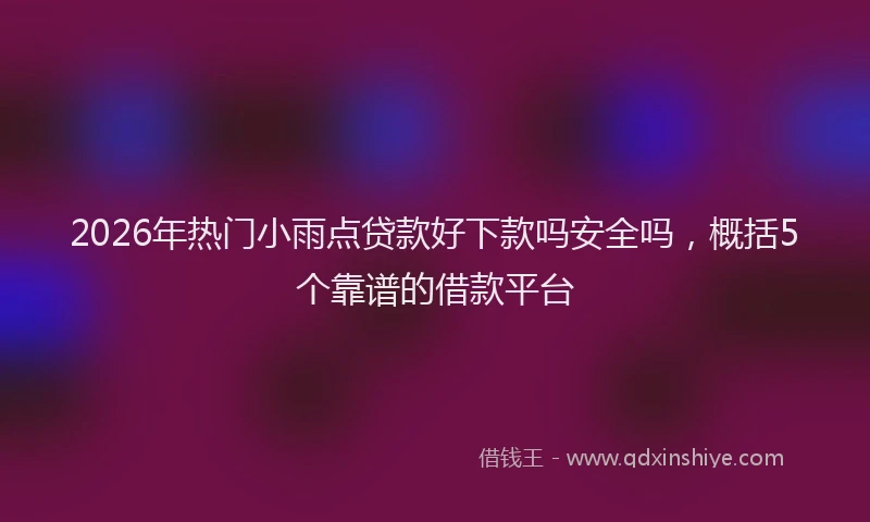 2026年热门小雨点贷款好下款吗安全吗，概括5个靠谱的借款平台