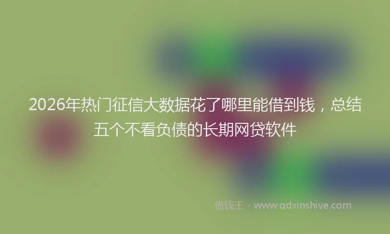 2026年热门征信大数据花了哪里能借到钱，总结五个不看负债的长期网贷软件