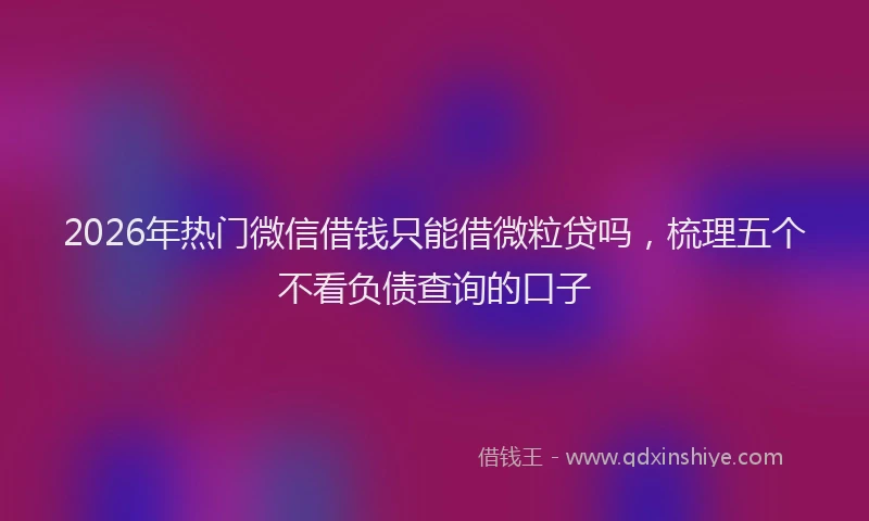 2026年热门微信借钱只能借微粒贷吗，梳理五个不看负债查询的口子