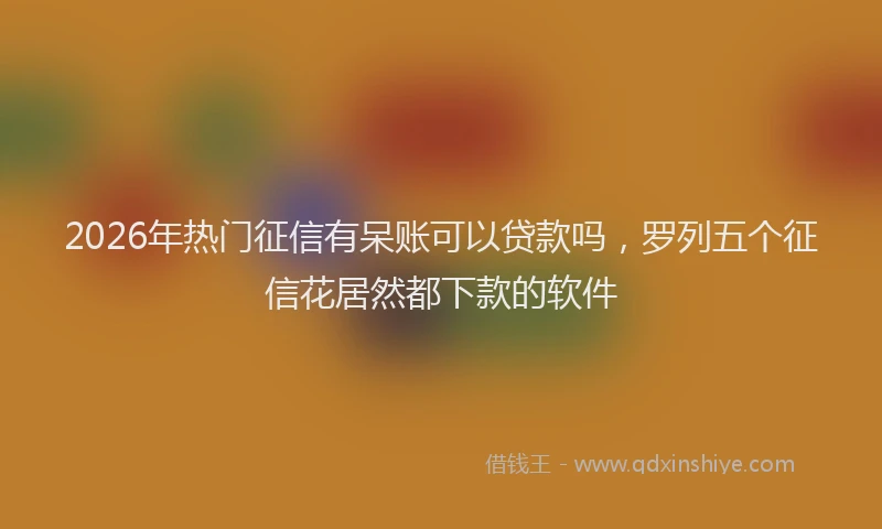2026年热门征信有呆账可以贷款吗，罗列五个征信花居然都下款的软件