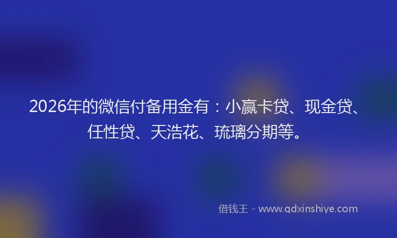 2026年的微信付备用金有：小赢卡贷、现金贷、任性贷、天浩花、琉璃分期等。