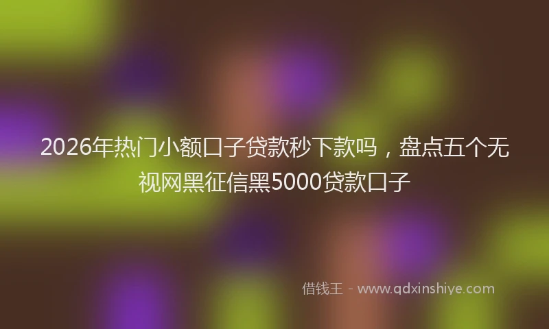 2026年热门小额口子贷款秒下款吗，盘点五个无视网黑征信黑5000贷款口子