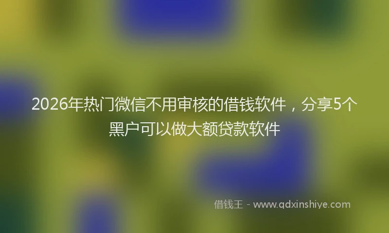 2026年热门微信不用审核的借钱软件，分享5个黑户可以做大额贷款软件