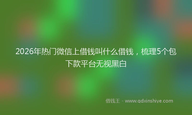 2026年热门微信上借钱叫什么借钱，梳理5个包下款平台无视黑白