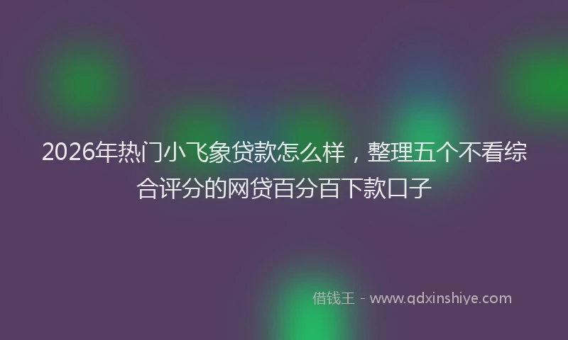 2026年热门小飞象贷款怎么样，整理五个不看综合评分的网贷百分百下款口子