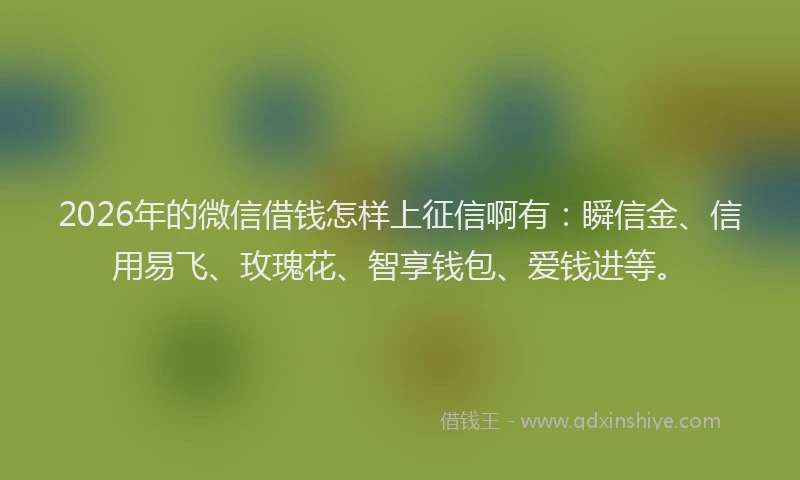 2026年的微信借钱怎样上征信啊有:瞬信金、信用易飞、玫瑰花、智享钱包、爱钱进等。