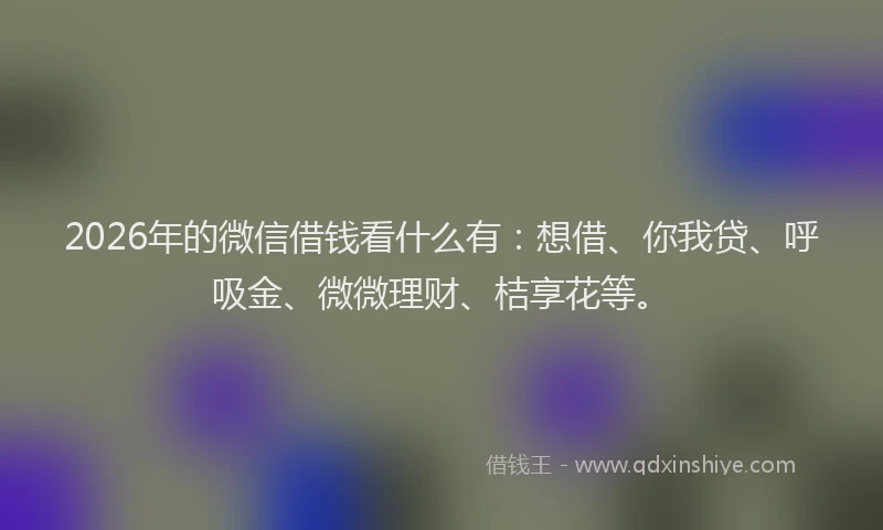 2026年的微信借钱看什么有：想借、你我贷、呼吸金、微微理财、桔享花等。