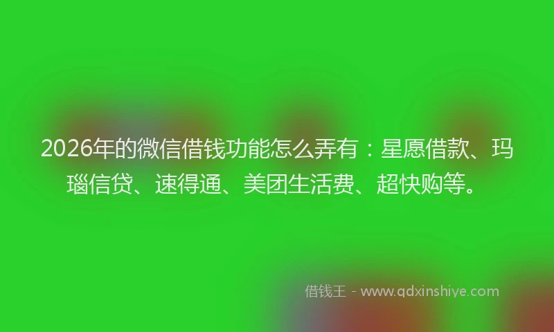 2026年的微信借钱功能怎么弄有:星愿借款、玛瑙信贷、速得通、美团生活费、超快购等。