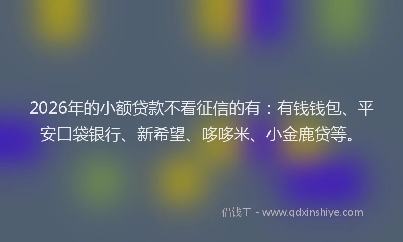 2026年的小额贷款不看征信的有:有钱钱包、平安口袋银行、新希望、哆哆米、小金鹿贷等。