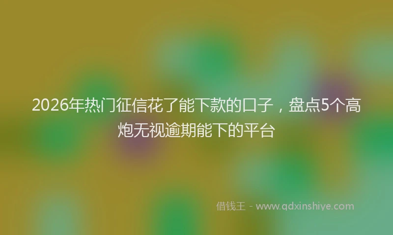 2026年热门征信花了能下款的口子，盘点5个高炮无视逾期能下的平台