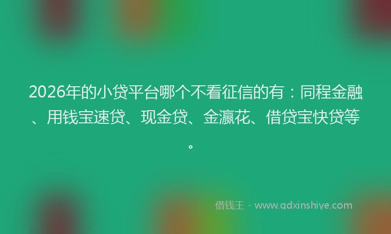 2026年的小贷平台哪个不看征信的有：同程金融、用钱宝速贷、现金贷、金瀛花、借贷宝快贷等。