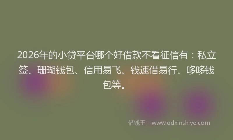 2026年的小贷平台哪个好借款不看征信有：私立签、珊瑚钱包、信用易飞、钱速借易行、哆哆钱包等。