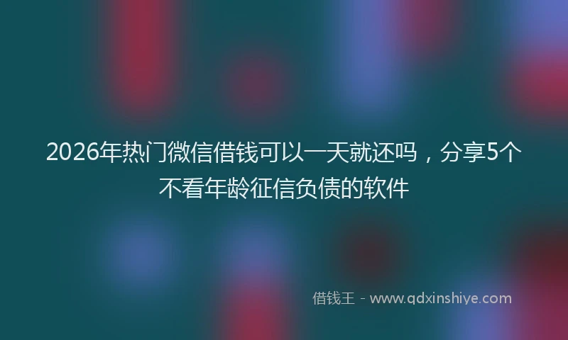 2026年热门微信借钱可以一天就还吗，分享5个不看年龄征信负债的软件