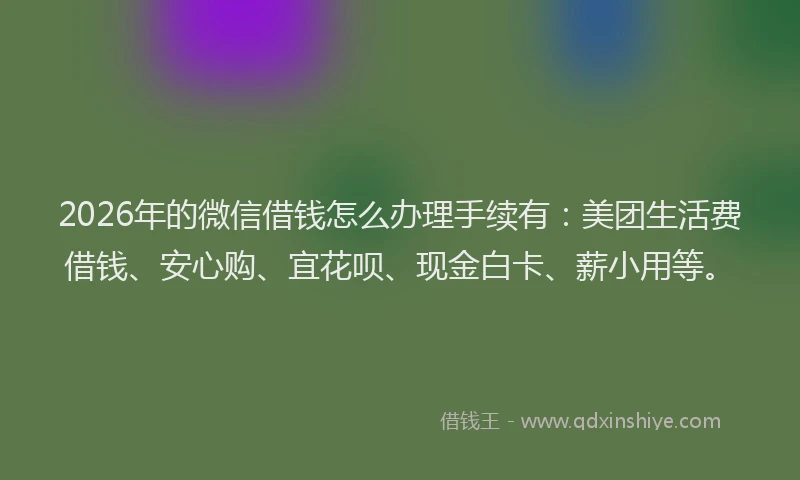 2026年的微信借钱怎么办理手续有：美团生活费借钱、安心购、宜花呗、现金白卡、薪小用等。