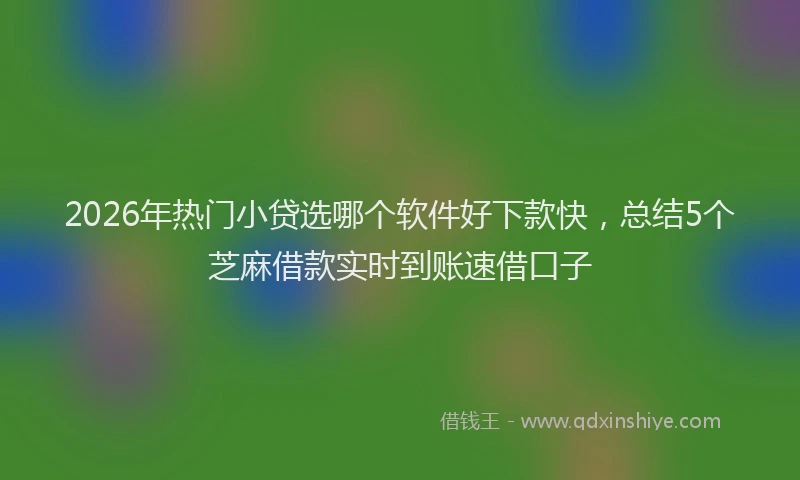 2026年热门小贷选哪个软件好下款快，总结5个芝麻借款实时到账速借口子