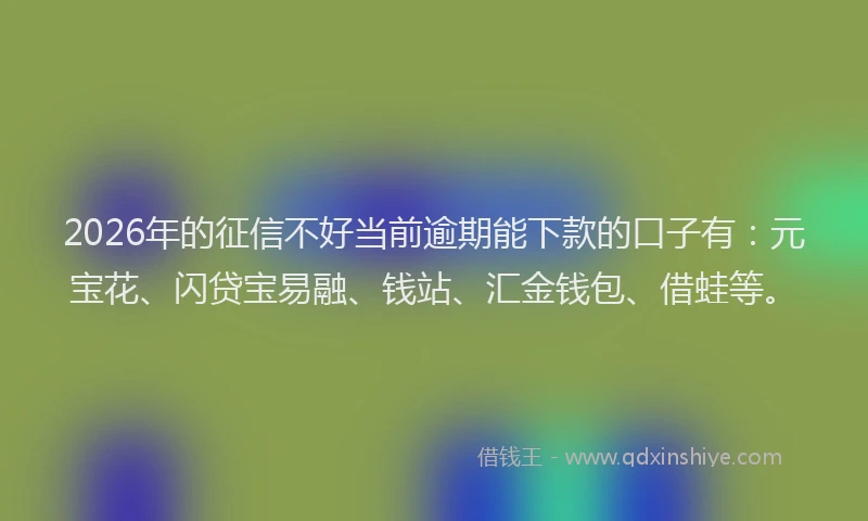 2026年的征信不好当前逾期能下款的口子有:元宝花、闪贷宝易融、钱站、汇金钱包、借蛙等。