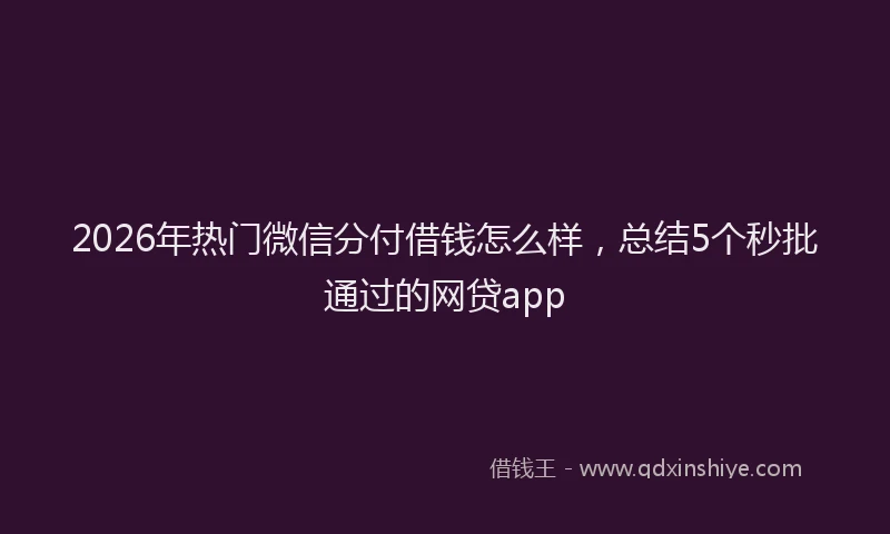 2026年热门微信分付借钱怎么样，总结5个秒批通过的网贷app