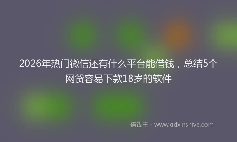 2026年热门微信还有什么平台能借钱，总结5个网贷容易下款18岁的软件