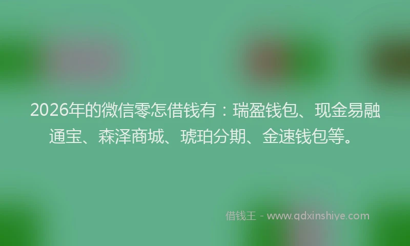 2026年的微信零怎借钱有：瑞盈钱包、现金易融通宝、森泽商城、琥珀分期、金速钱包等。